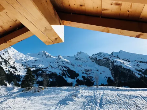 Chalet-Hôtel Inarpa